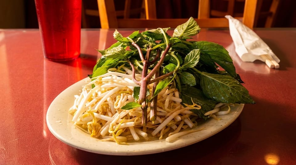 A plate of fresh bean sprouts and basil sits on a red table with a red cup.